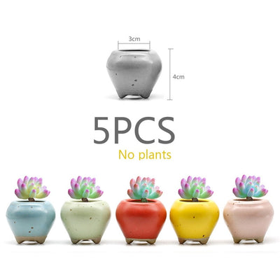 HOT Cement Concrete Ceramic Planters Set Matt Porcelain Flowerpot Mini Geometric Succulent Plant Pots Flower Pot Bonsai Planters