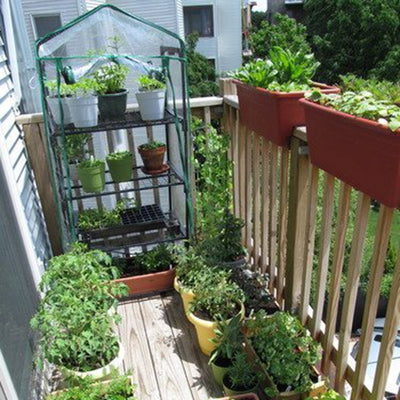 Anti-UV Garden Tier Mini Household Plant Greenhouse